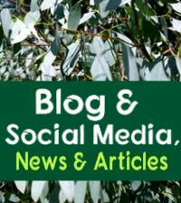 Kings Barn Trees News, Articles & Blog