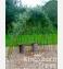 Outdoor Classroom Kits  (SOLD OUT MARCH 2024) - view 4