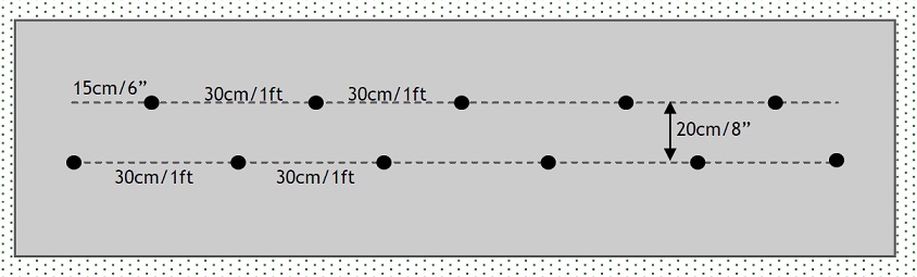 Planting Diagram for Double Row Hedge