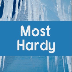 Most Hardy