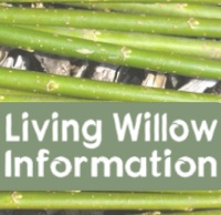 Why Plant Willow? Why Plant Willow?