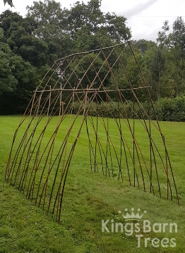 Living Willow Large Tunnel or Arch Kit  