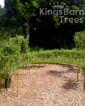 Outdoor Classroom Kits