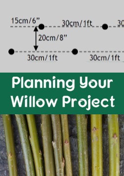 How Much Willow Will I Need? 