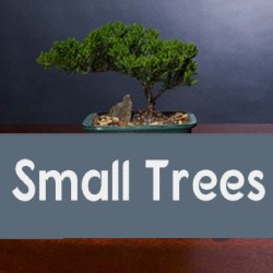 Small Trees