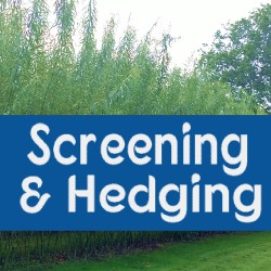 Screening & Hedging