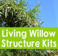 Living Willow Structures