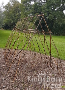 Living Willow Small Tunnel Kit