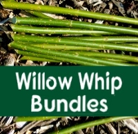 Living Willow Whips & Setts 